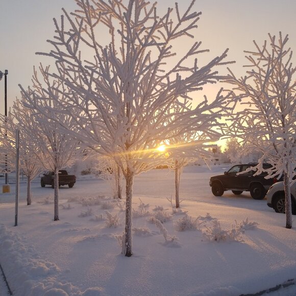 Meet your Posher, Christopher - Picture 6 of 12